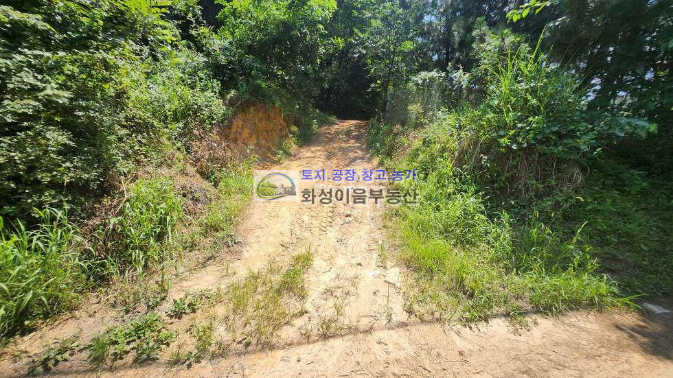 경기 화성효행구 비봉면 삼화리 비봉면 삼화리 농지 122평 매매 매물번호 10082 사진 5