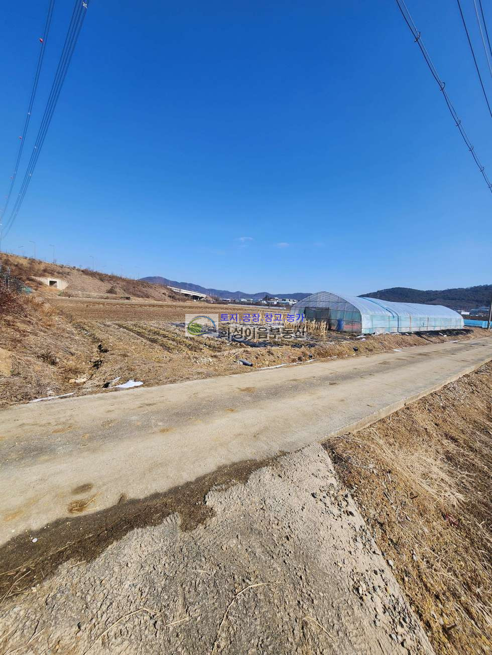 경기 화성만세구 팔탄면 하저리 경지정리된 농지, 원예하우스, 주말농장 추천 매매 매물번호 10001 사진 3