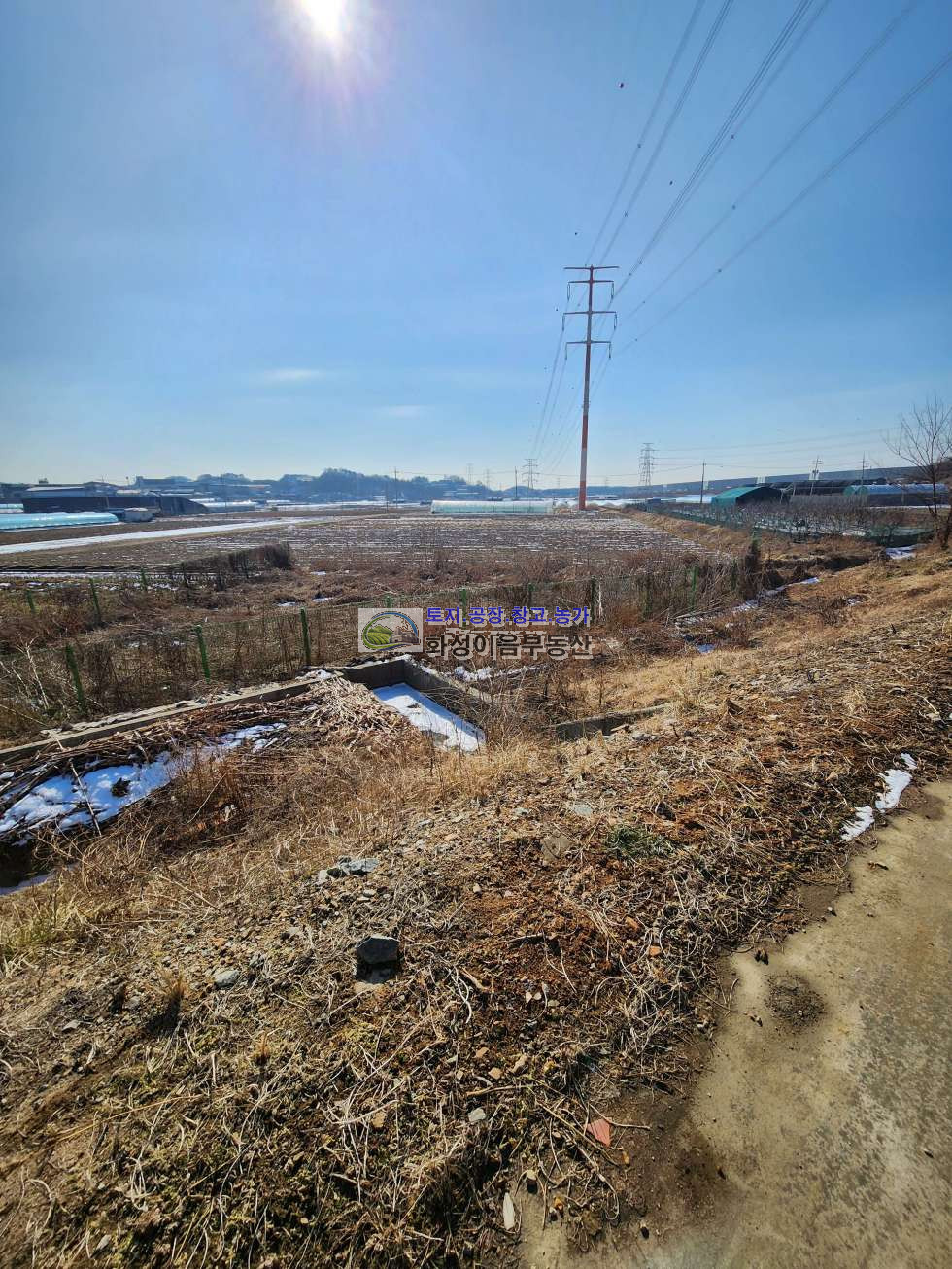 경기 화성만세구 팔탄면 하저리 경지정리된 농지, 원예하우스, 주말농장 추천 매매 매물번호 10001 사진 4