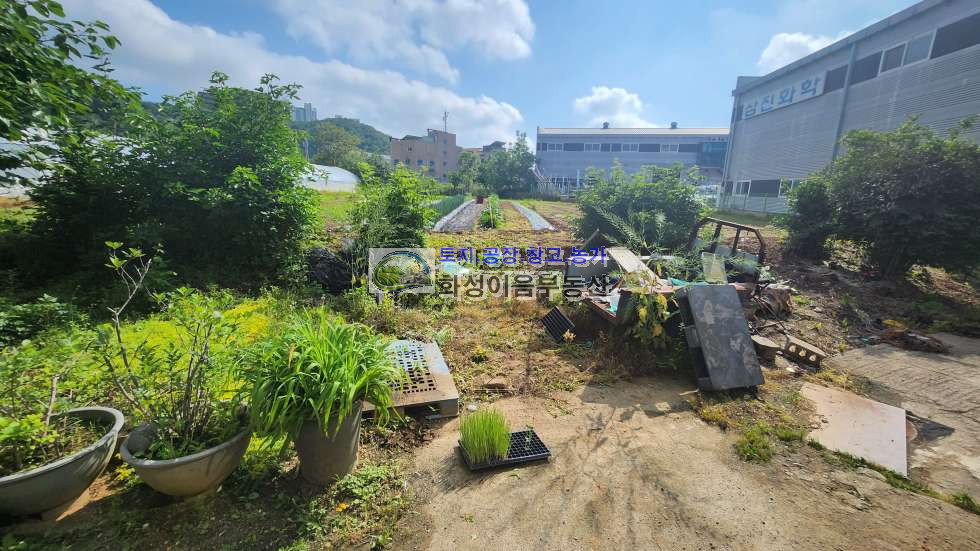경기 화성만세구 남양읍 북양리 남양북양산업단지 토지 590평 매매 매물번호 10064 사진 5