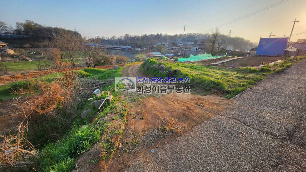경기 화성만세구 마도면 쌍송리 쌍송리 농지 350평, 전원주택,주말농장, 대체농지 매매 매물번호 10035 사진 3